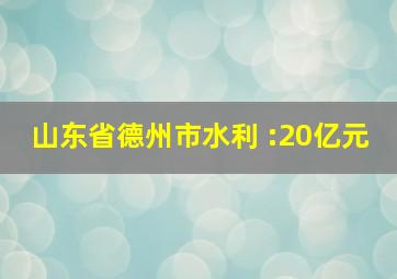 山东省德州市水利 :20亿元